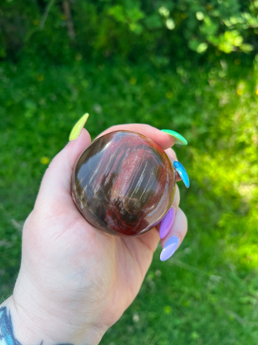 Petrified Wood Palm Stone